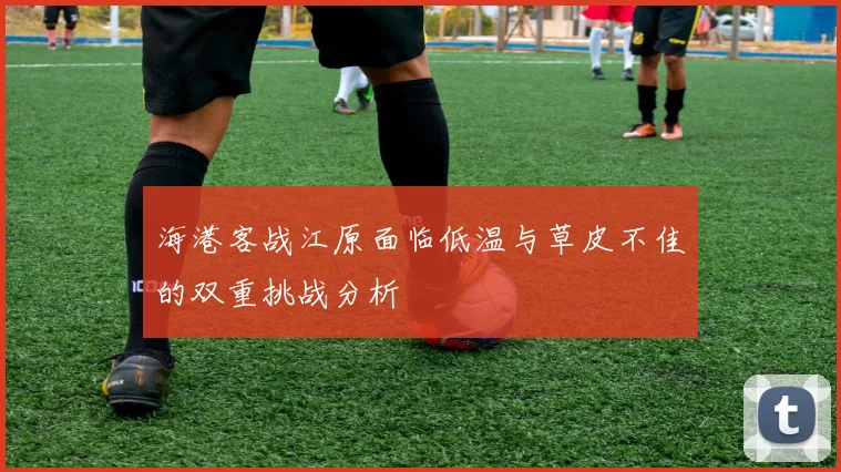 海港客战江原面临低温与草皮不佳的双重挑战分析