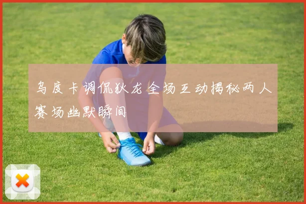 乌度卡调侃狄龙全场互动揭秘两人赛场幽默瞬间