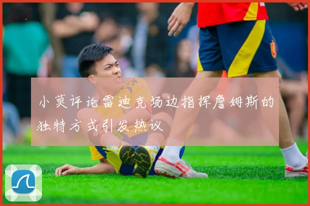 小莫评论雷迪克场边指挥詹姆斯的独特方式引发热议