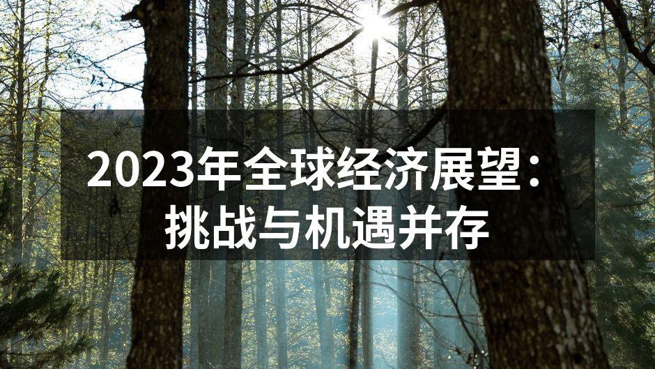 2023年全球经济展望：挑战与机遇并存