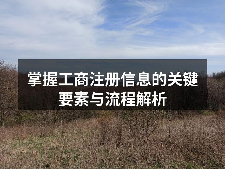 掌握工商注册信息的关键要素与流程解析