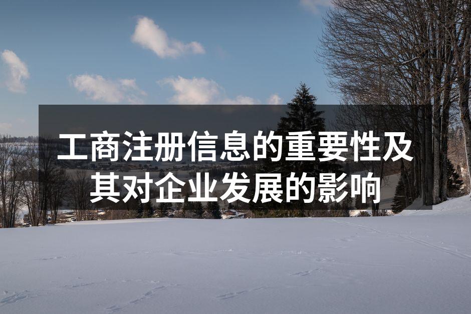 工商注册信息的重要性及其对企业发展的影响