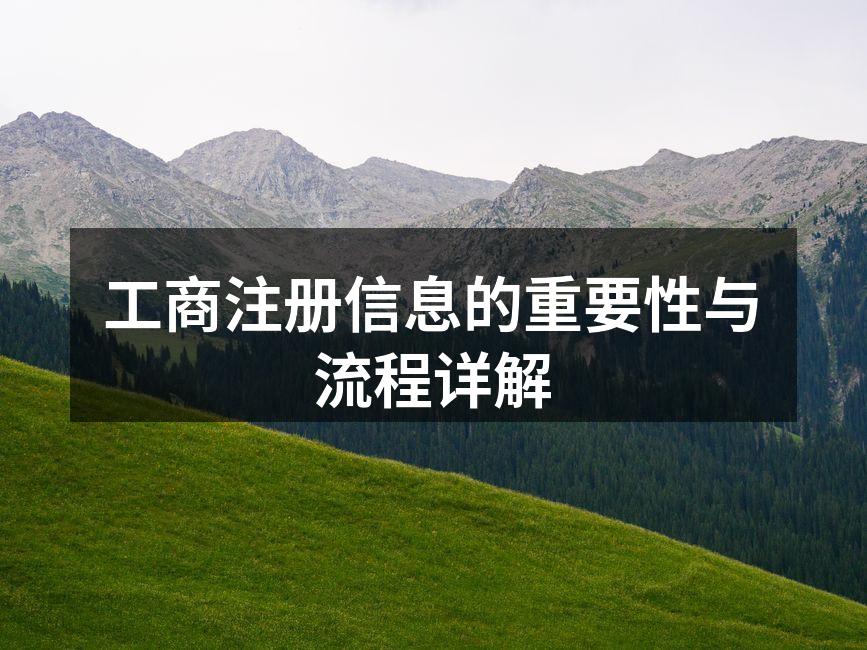 工商注册信息的重要性与流程详解