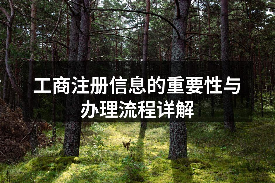 工商注册信息的重要性与办理流程详解