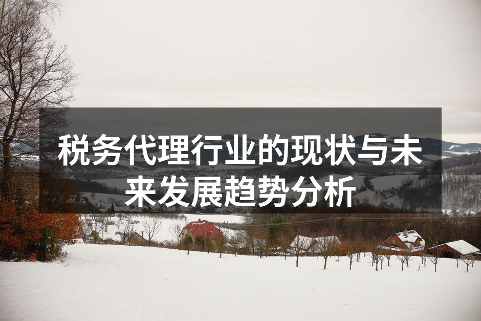 税务代理行业的现状与未来发展趋势分析