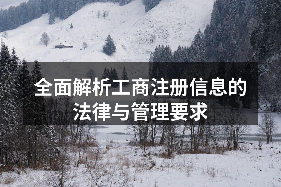 工商注册申请流程示意图