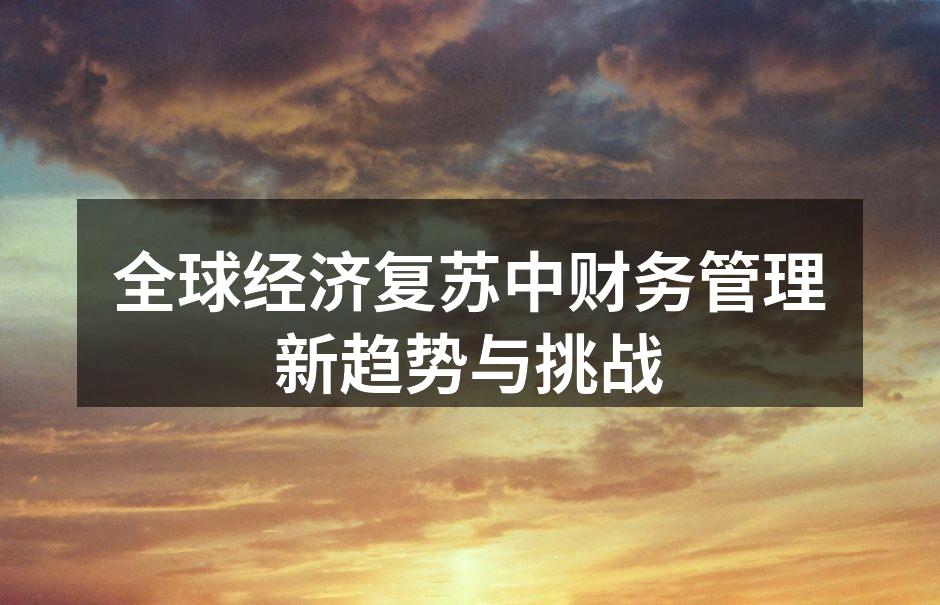 全球经济复苏中财务管理新趋势与挑战